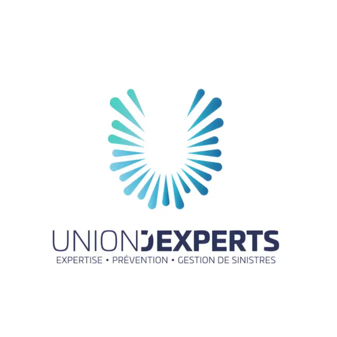 Logo Union d'Experts